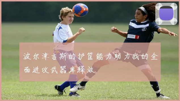 波尔津吉斯的护筐能力助力我的全面进攻武器库释放